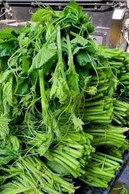 Fresh green leaf (affo)