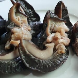 Fresh frozen snail 3 snail